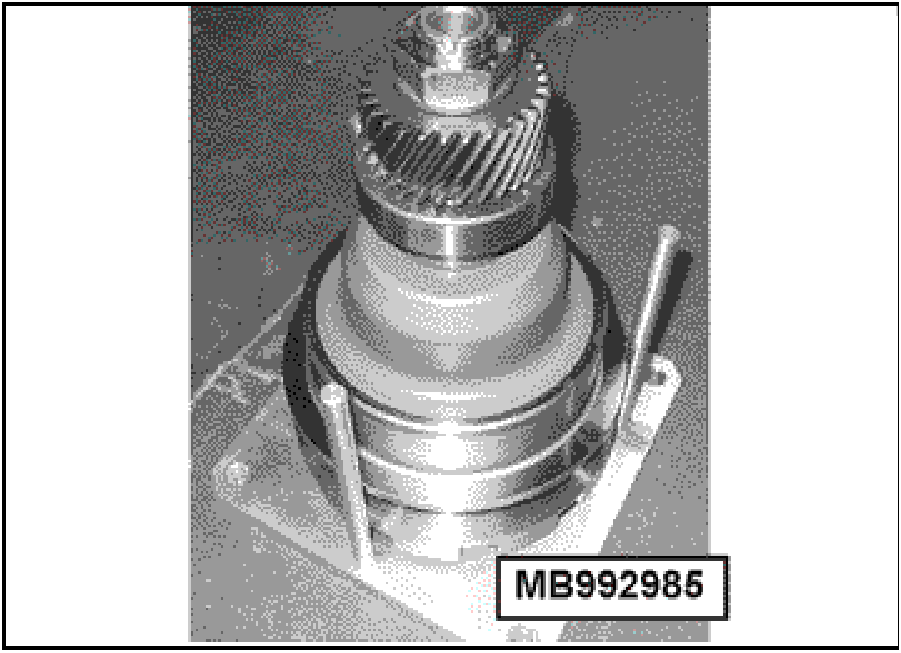 520065657_graphic-text242